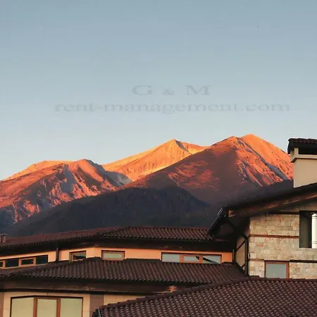 G M